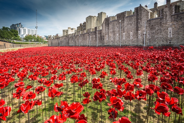 888246-ceramic-poppies-tower-of-london-remembrance-day-designboom-20