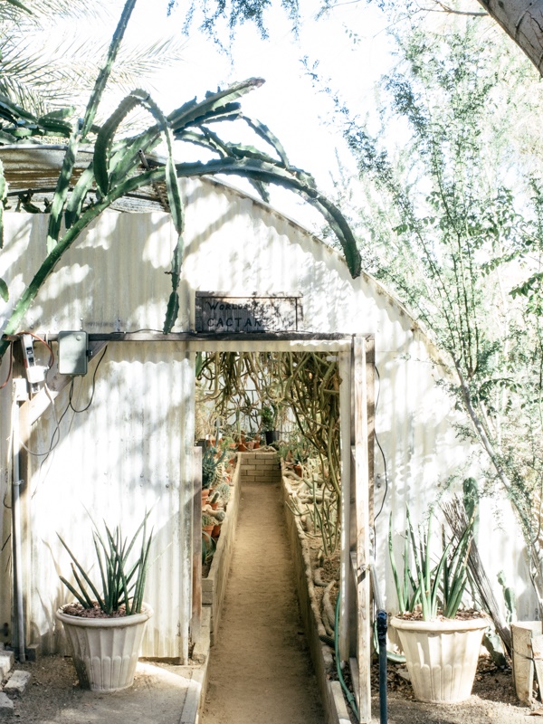 The-Stylists-Guide-to-Palm-Springs-Mooreten-The-Society-inc-by-Sibella-Court-2025